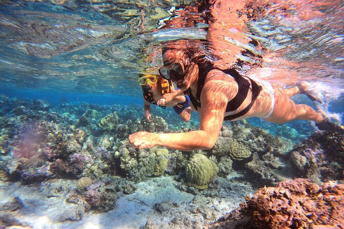 Lagoon and Marine Wildlife Tour in Moorea - Is $103.24 a fair price?