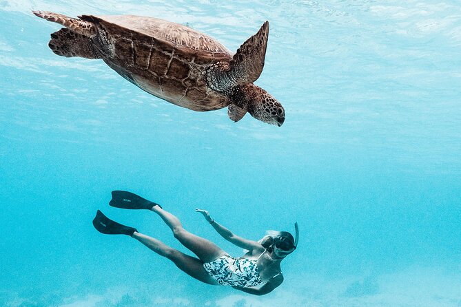 Lagoon and Wildlife Discovery on a Private Boat in Moorea - Setting out across Moorea’s turquoise water