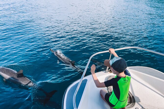 Lagoon and Wildlife Discovery on a Private Boat in Moorea - Fresh fruit and free underwater photographs