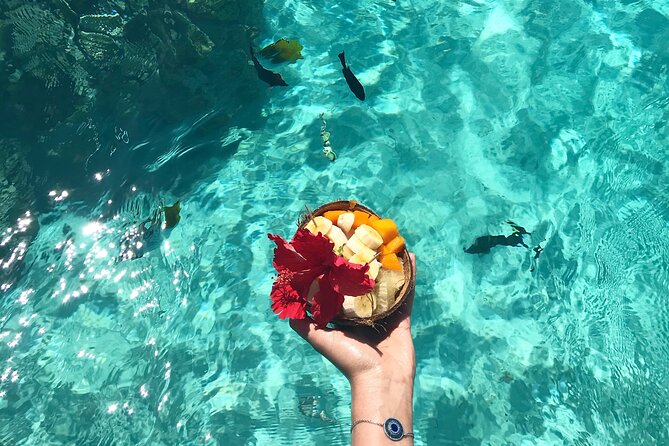 Lagoon and Wildlife Discovery on a Private Boat in Moorea - What the guides add to the trip