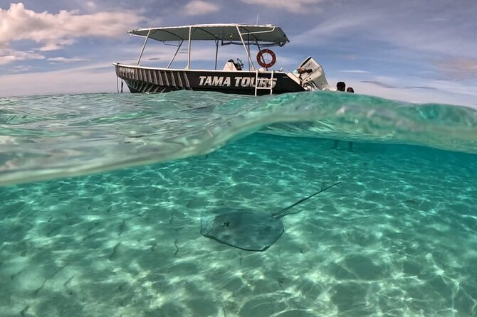 Lagoon Exploration and Snorkeling in Moorea - Meeting at Cocobeach Restaurant on PK 24