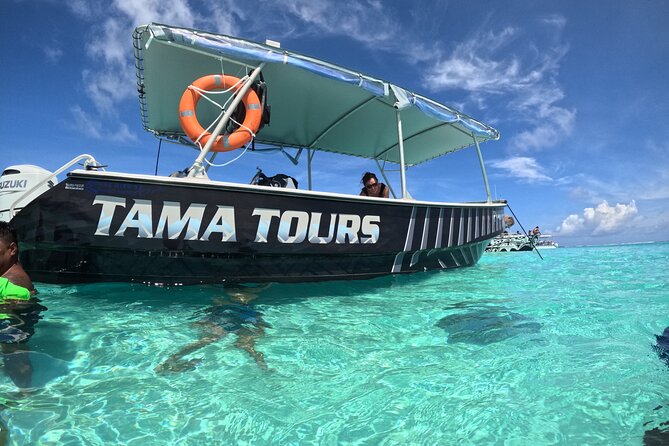 Lagoon Exploration and Snorkeling in Moorea - What $145.76 buys you