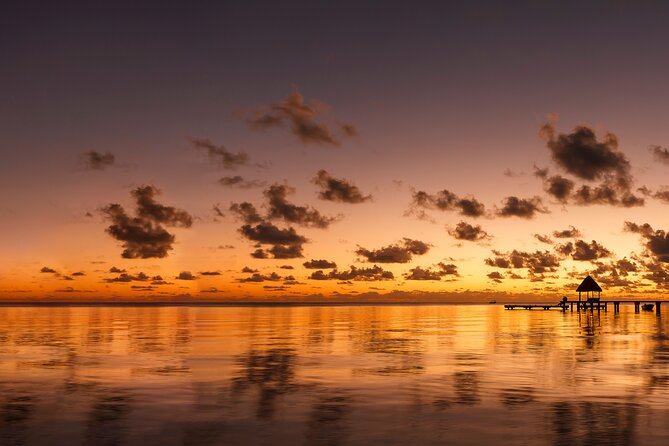 Lagoon Service Private Sunset Cruise - What the ukulele and guide service add
