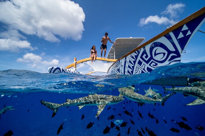 Lagoon Snorkeling Tour with Tahitian Oven Lunch in Bora Bora - Finishing the water time with peaceful sharks
