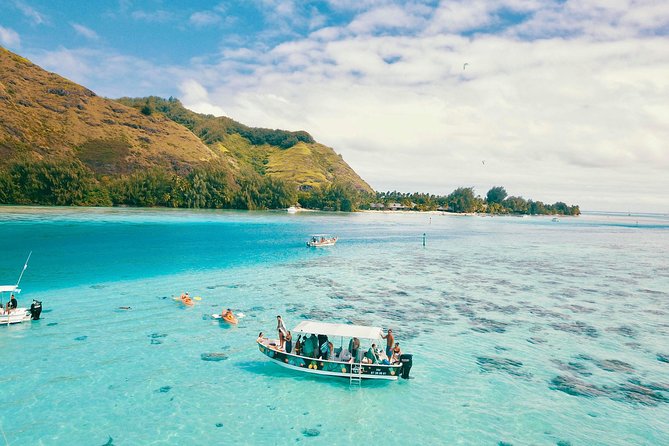 Lagoon Tour - Discover the magnificent lagoon of Moorea - Five things to know before booking
