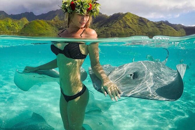 Lagoon Tour in Moorea in Small Group with Lunch - What the $218.64 Price Really Buys