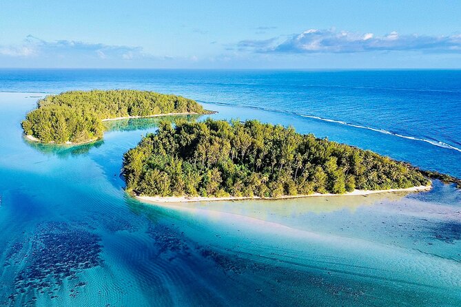Lagoon Tour + lunch with your feet in the water on a Motu - Stop two: turtles and open-water snorkeling