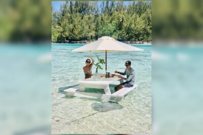 Lagoon Tour + lunch with your feet in the water on a Motu