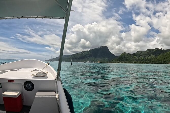 Lagoon Tour + lunch with your feet in the water on a Motu - Who will enjoy this most?