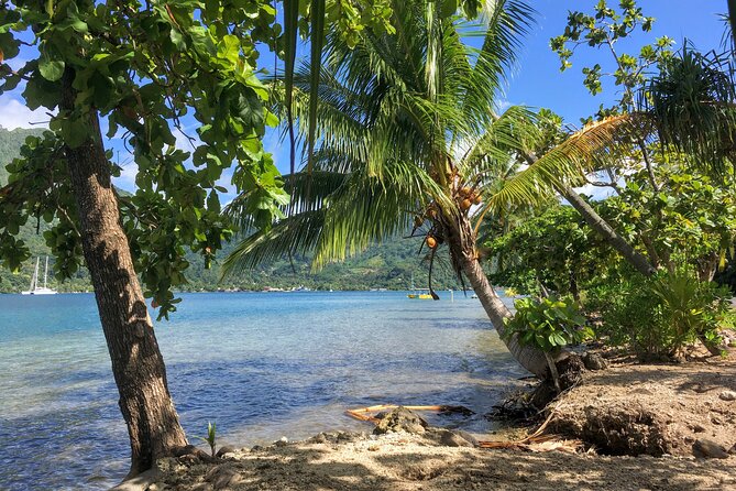 Land and Sea cultural tour to discover traditions, heritage and the lagoon - Lunch with your feet in the water