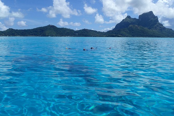Luxury Full Day Snorkeling - Starting at 8:30 am with a resort pickup
