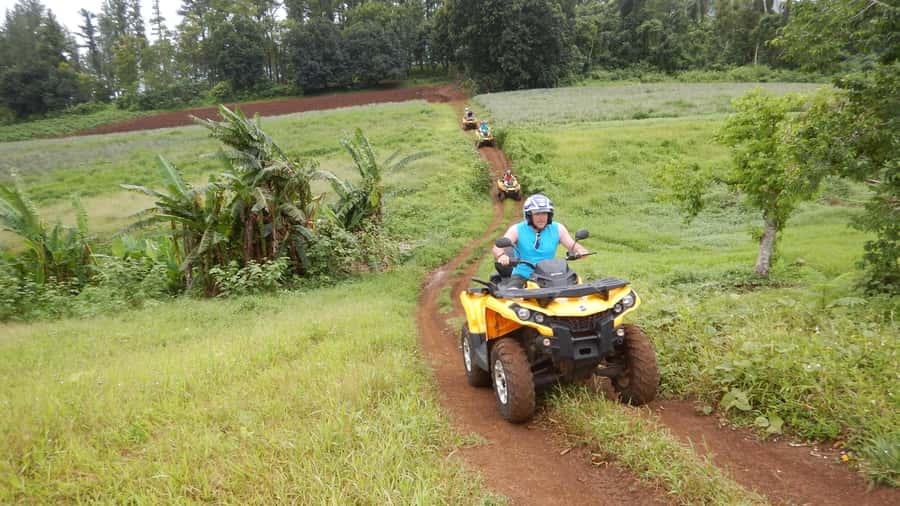 Mo'orea: Guided ATV Nature Tour - Riding past pineapple fields and plantations