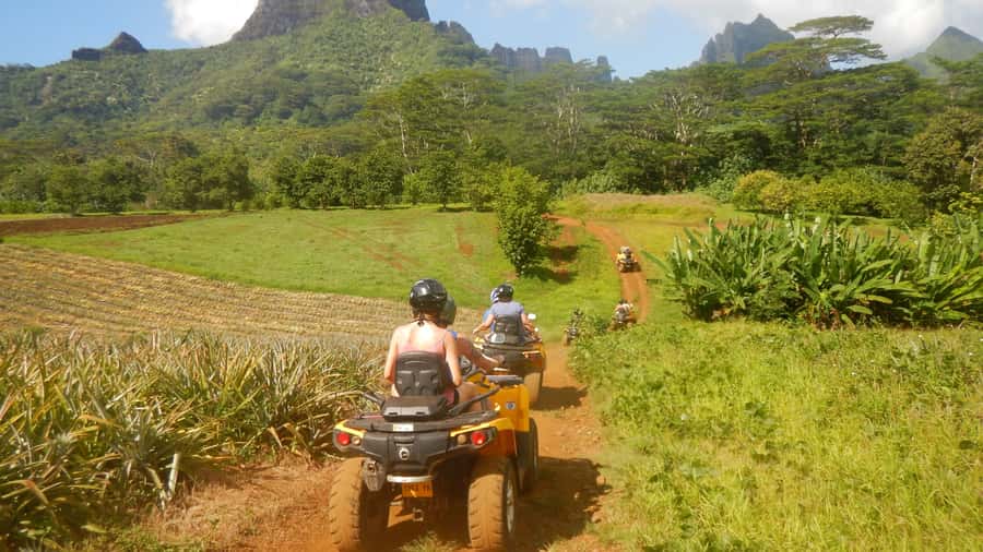 Mo'orea: Guided ATV Nature Tour - The Belvedere view over two bays