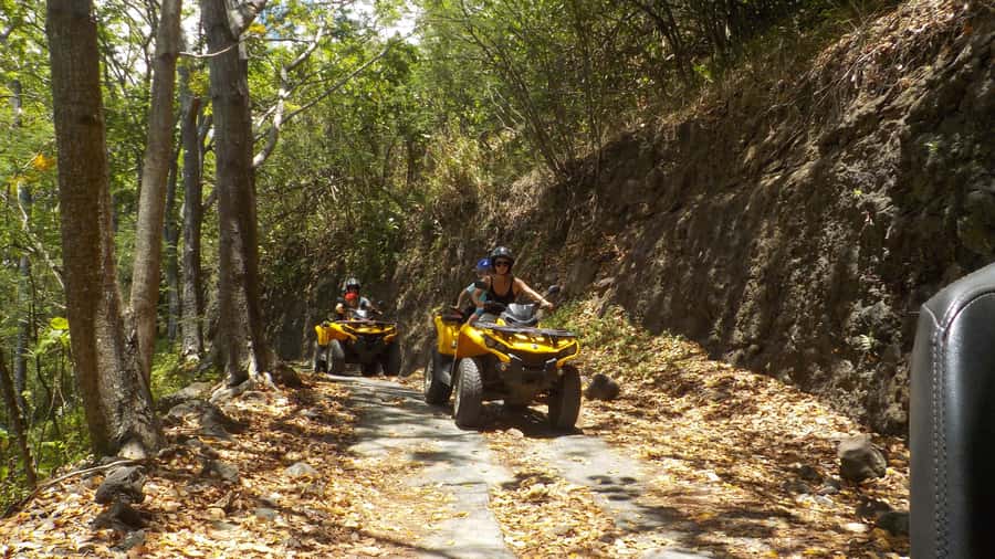 Mo'orea: Guided ATV Nature Tour - A possible stop at the Rotui juice factory