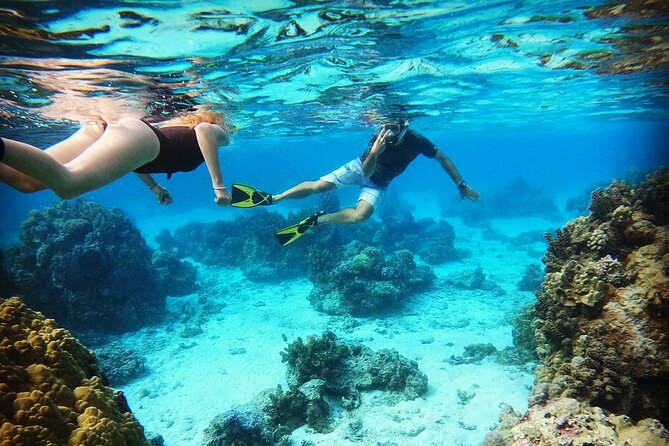 Mo'orea Half Day Private Tour with Snorkeling and Cruising the Lagoon - The best parts of this Moorea lagoon tour