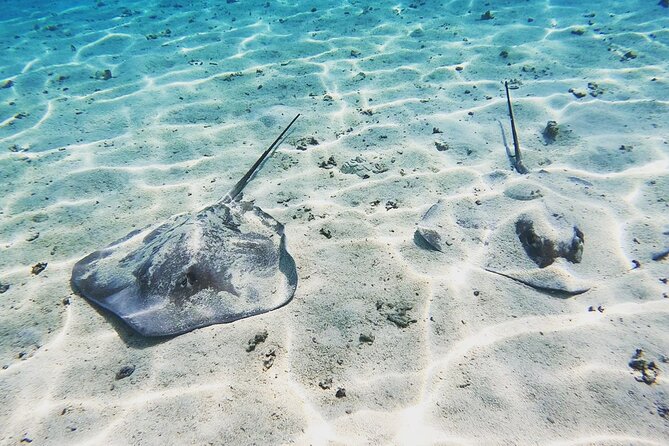 Mo'orea Half Day Private Tour with Snorkeling and Cruising the Lagoon - Why a private four-hour boat trip works well