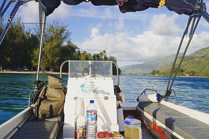 Mo'orea Half Day Private Tour with Snorkeling and Cruising the Lagoon - Second stop: schools of fish and stingrays