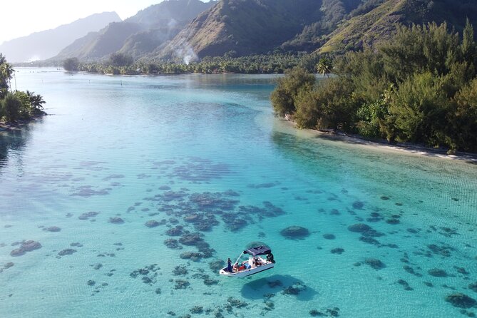 Mo'orea Half Day Private Tour with Snorkeling and Cruising the Lagoon - Third stop: Moorea’s famous sharks and rays area
