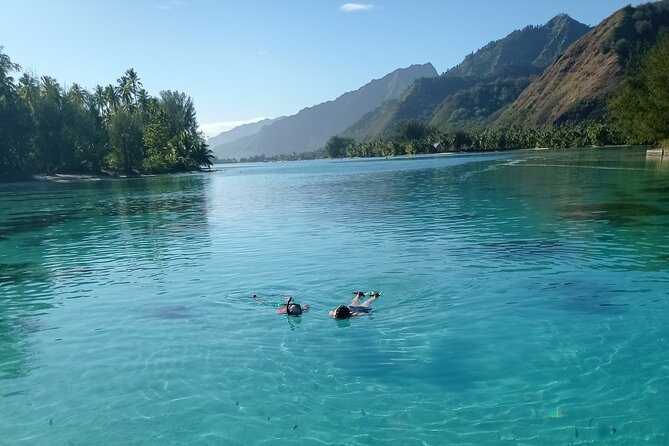 Mo'orea Half Day Private Tour with Snorkeling and Cruising the Lagoon - The west coast cruise and a quieter coral garden