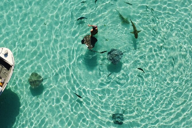 Mo'orea Half Day Private Tour with Snorkeling and Cruising the Lagoon - Who should book this Moorea snorkeling tour