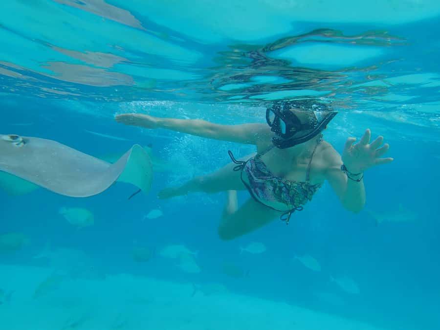 Moorea 4H Shared Boat Tour Whale Swimming and Snorkeling - Who should book this experience?