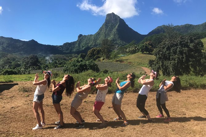 Moorea 4WD Tour Inc. Belvedere, Pineapple Farm, Magic Mountain... - The Distillery and the Final Tasting