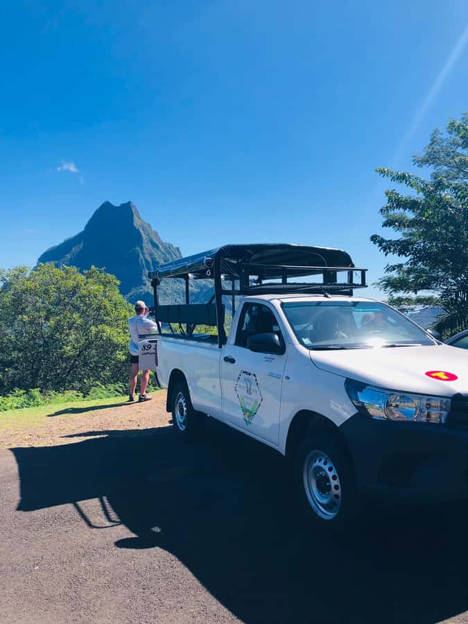 Moorea:4X4 safari excursion between land and sea with lunch - Through pineapple fields and Opunohu Valley