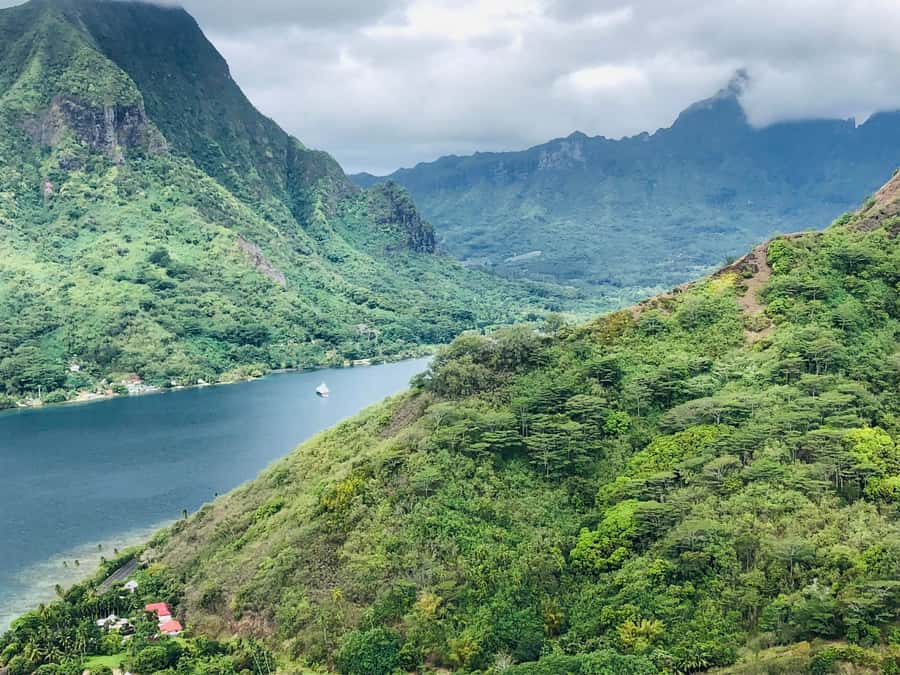 Moorea:4X4 safari excursion between land and sea with lunch - A Polynesian lunch in a tropical garden