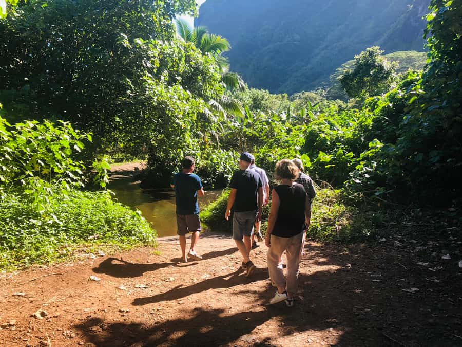 Moorea:4X4 safari excursion between land and sea with lunch - Who should book this Moorea experience
