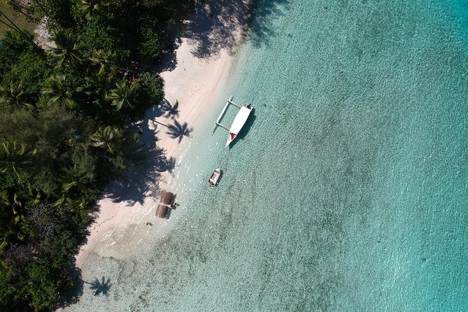 Moorea 6-Hour Snorkeling and Lunch Shared Tour - Coral gardens, turtles, and the limits of snorkeling