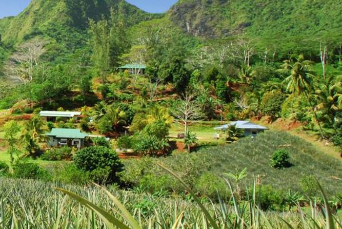 Moorea Aito 4WD Safari Tour - Half day - Magical Mountain and the steep private road