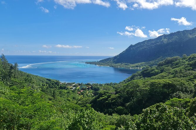 Moorea Aito 4WD Safari Tour - Half day - Optional stops that depend on the morning