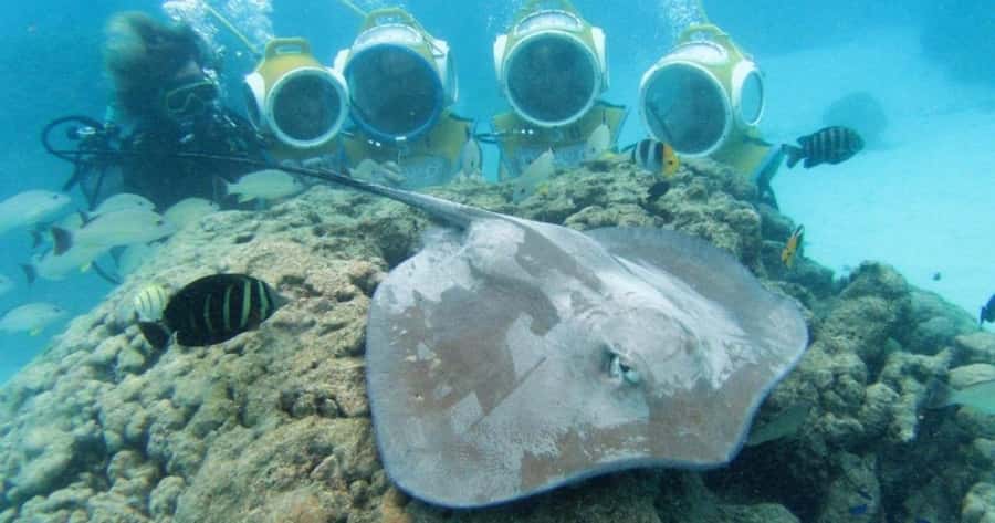 Moorea: Aquablue Helmet Underwater Walking Experience - Key points to know before you book