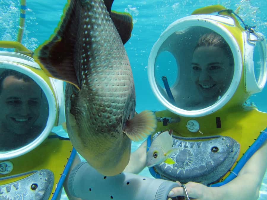 Moorea: Aquablue Helmet Underwater Walking Experience - What you see at 12 feet below the surface