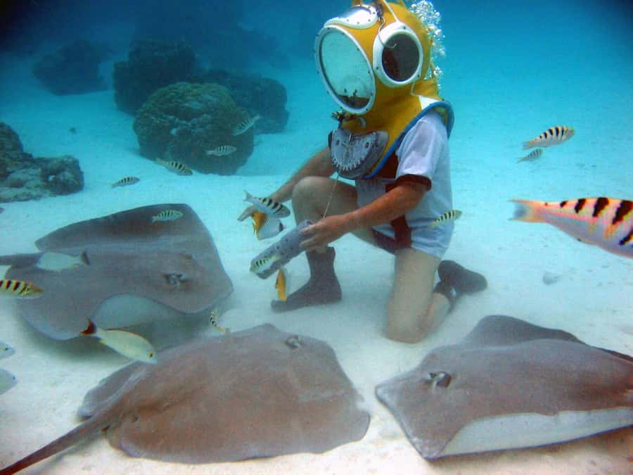 Moorea: Aquablue Helmet Underwater Walking Experience - Is $103 a fair price?
