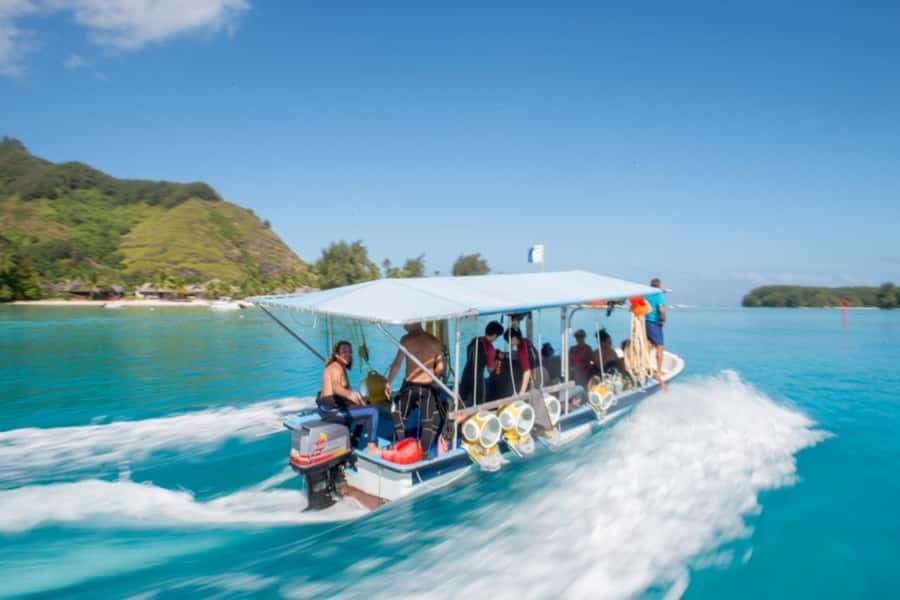 Moorea: Aquablue Helmet Underwater Walking Experience - Starting at the InterContinental Moorea Resort & Spa