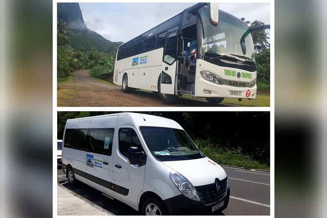 Moorea Buggy Rental - Price, value, and who should book