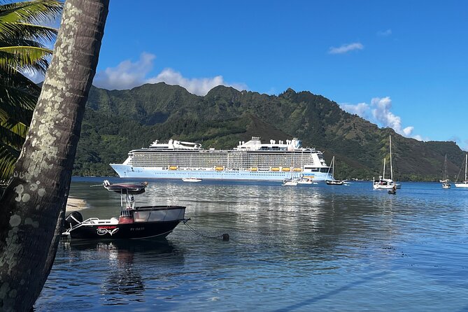 Moorea Cruise Ships: 4x4, Belvedere, Pineapple, & Magic Mountain - What the 4WD ride is really like