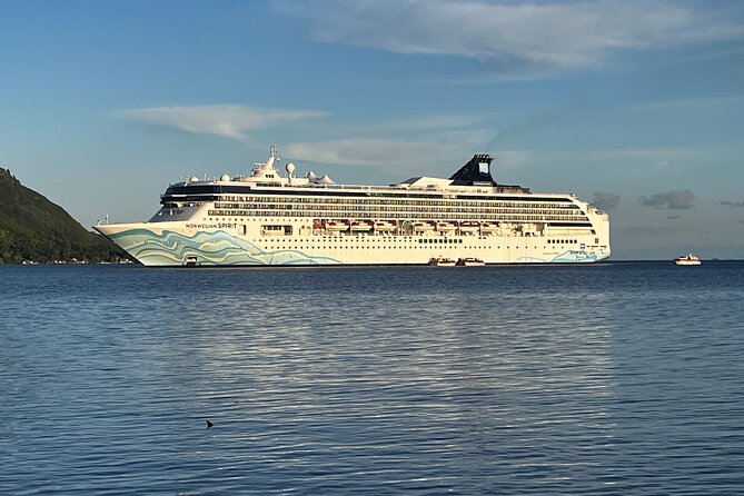 Moorea Cruise Ships: 4x4, Belvedere, Pineapple, & Magic Mountain - Magic Mountain is thrilling, rough, and worth the climb