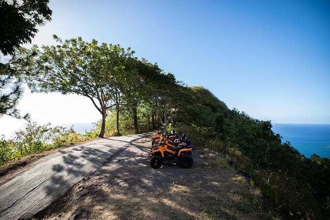 Moorea Explorer Atv Quad Tour - Belvedere Lookout After the Country Roads