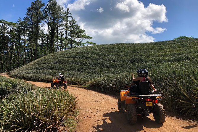 Moorea Explorer Atv Quad Tour - Magic Mountain for Moorea’s Broadest View