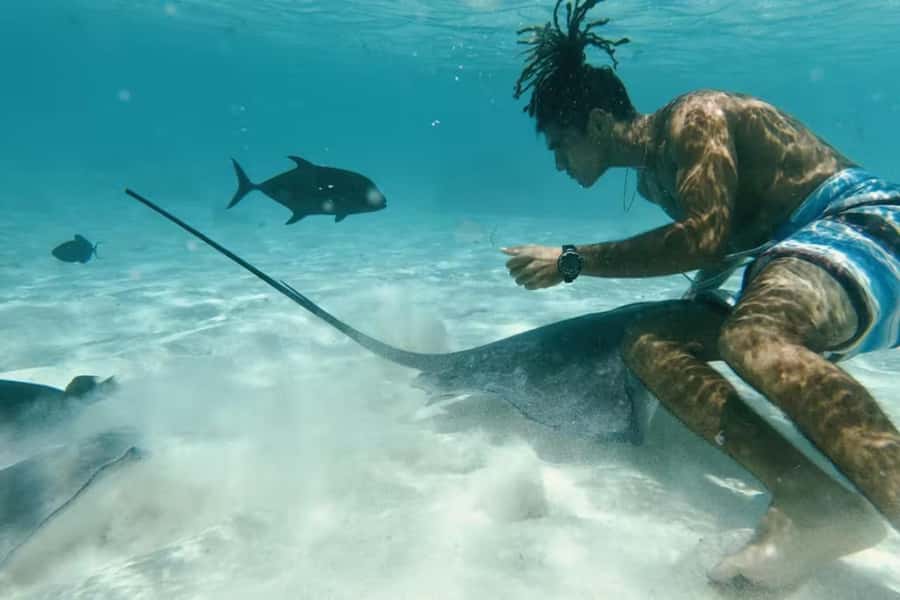 Moorea: Glass Bottom Boat Adventure with Lagoon Wonders - First stop: swimming near Moorea’s green turtles
