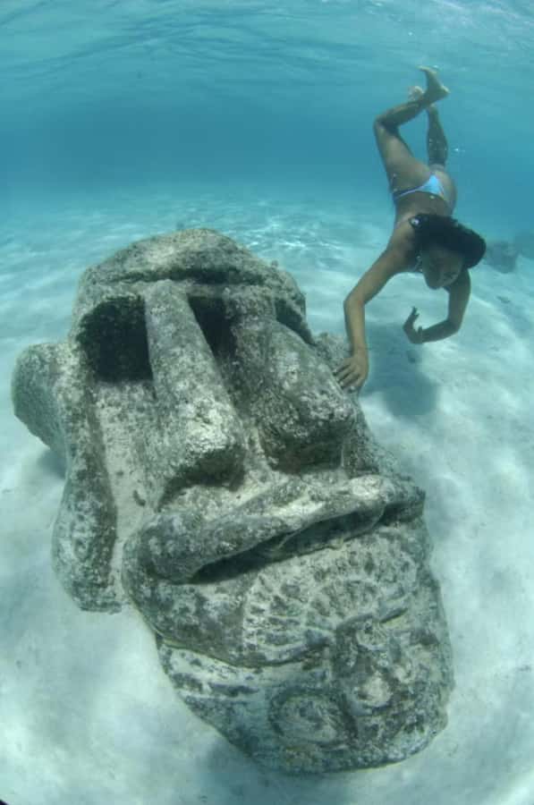Moorea: Glass Bottom Boat Adventure with Lagoon Wonders - How much value is there at $148?