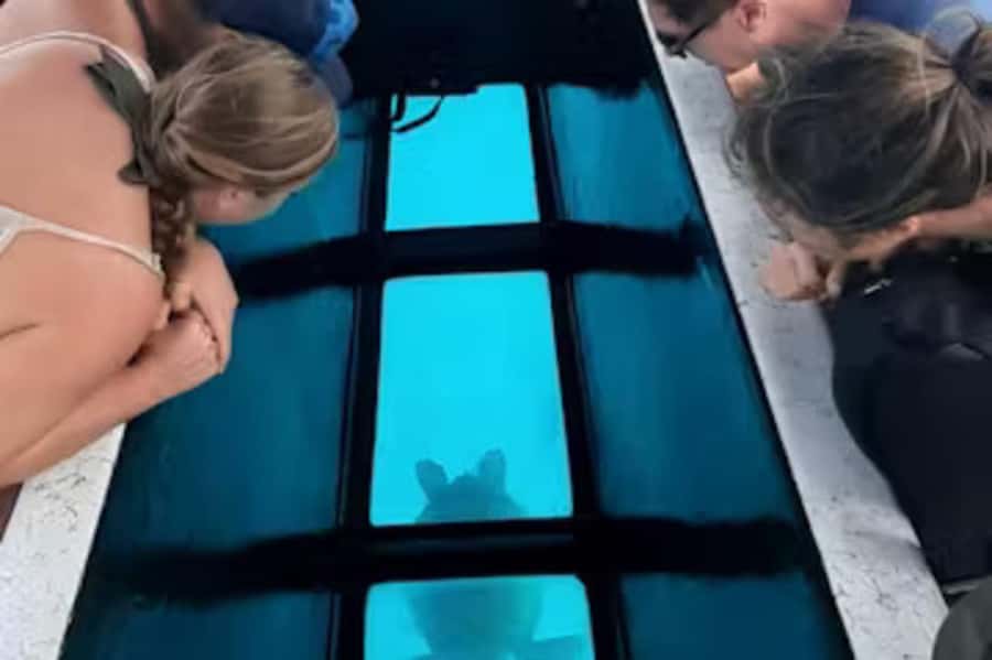 Moorea: Glass Bottom Boat Adventure with Lagoon Wonders - Starting aboard the shaded Honu Kea
