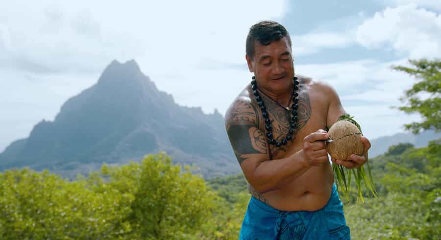 Moorea: Half-Day Open-Air 4WD Safari with Hotel Transfers - Why this 4WD safari works well on Moorea