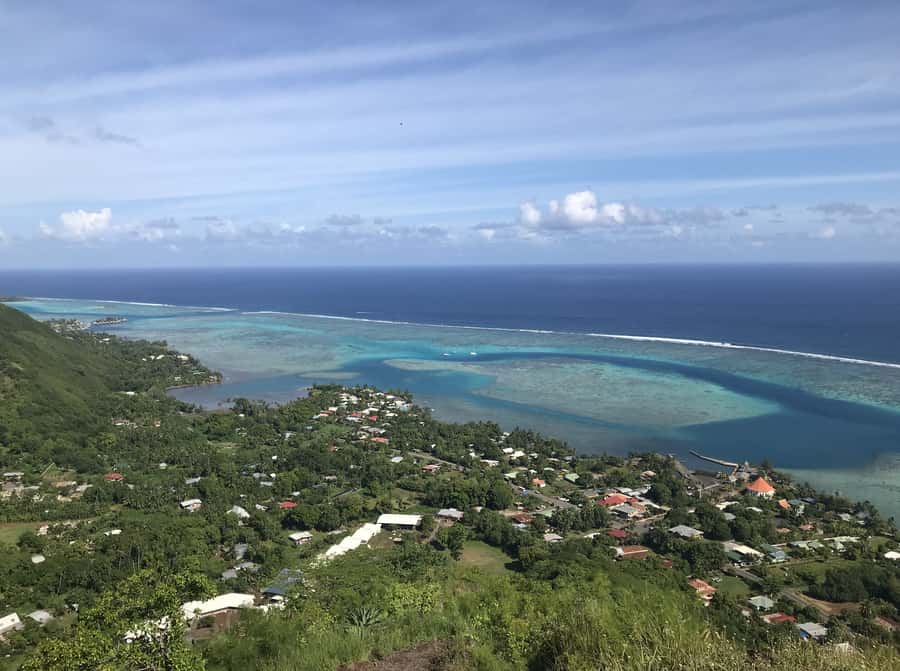 Moorea: Half-Day Open-Air 4WD Safari with Hotel Transfers - Pineapples, fruit products, and the winery stop