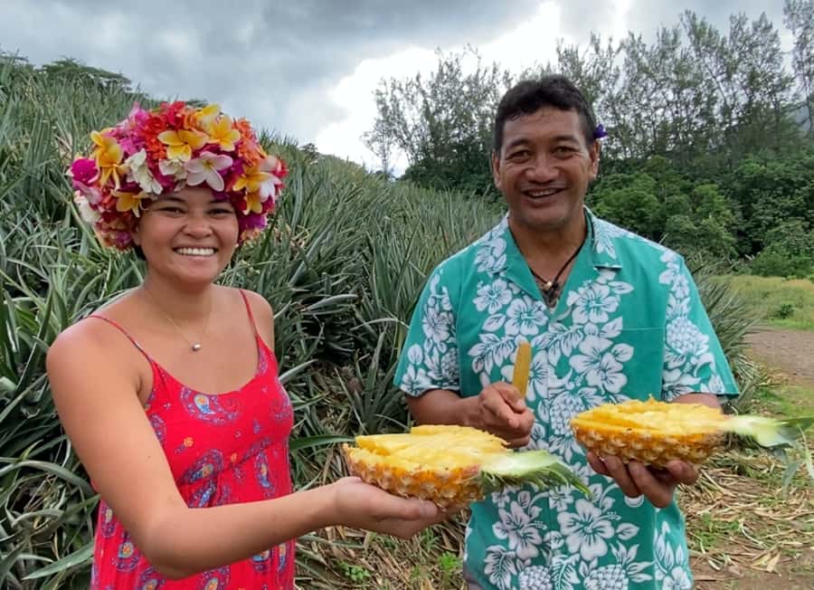 Moorea: Half-Day Open-Air 4WD Safari with Hotel Transfers - What $70 buys you