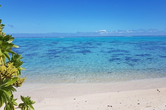 Moorea Highlights Private Tour: Natural and Cultural Attraction - Cook’s Bay is Moorea’s grand central view