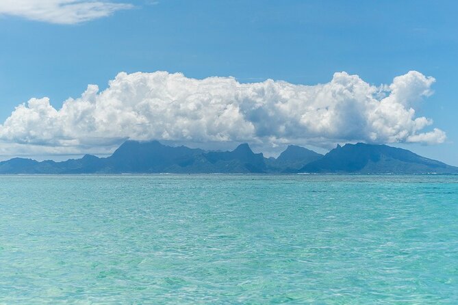 Moorea Highlights Private Tour: Natural and Cultural Attraction - Tropical Garden offers flowers, fruit, and a slower pause