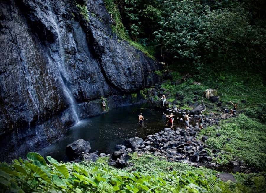 Moorea: Island Tour with Waterfall Hike and Lunch - Why This Tour Works for a First Day on Moorea